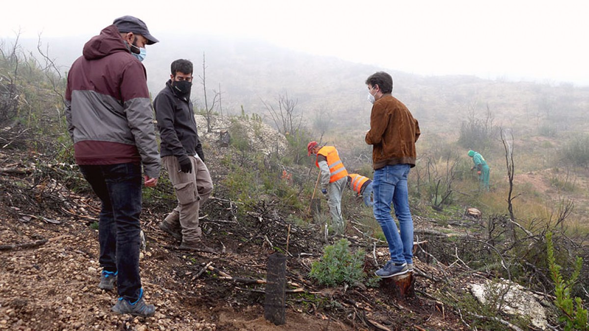 Visita a la zona d’actuació de Francesc Barbero, batlle de Flix, i Oriol Arola, coordinador tècnic dels treballs forestals del Pla d’Ocupació.
