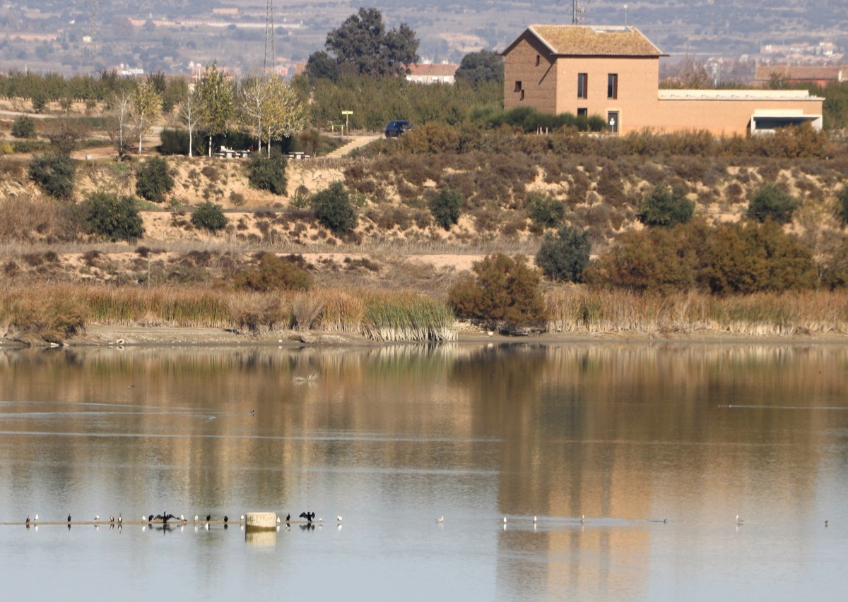 Imatge de l'estany de Vila-sana