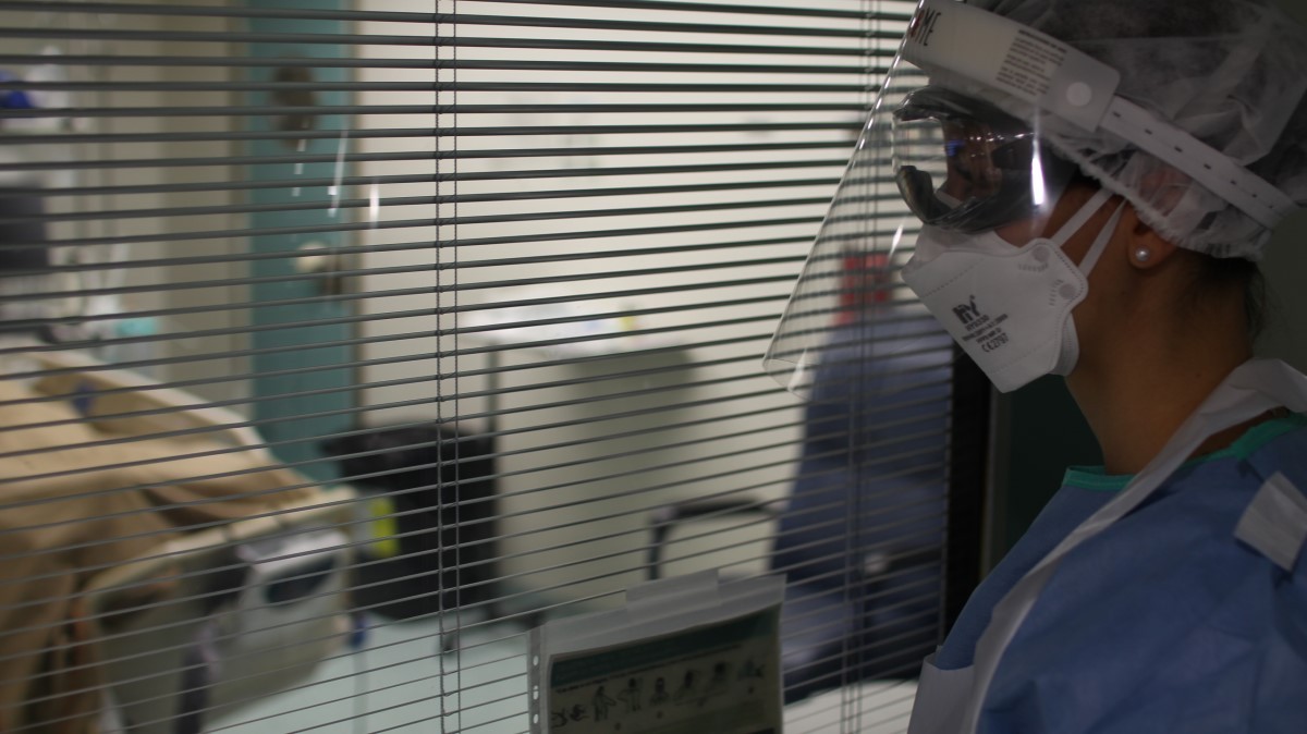 Una sanitària atenent un pacient amb coronavirus