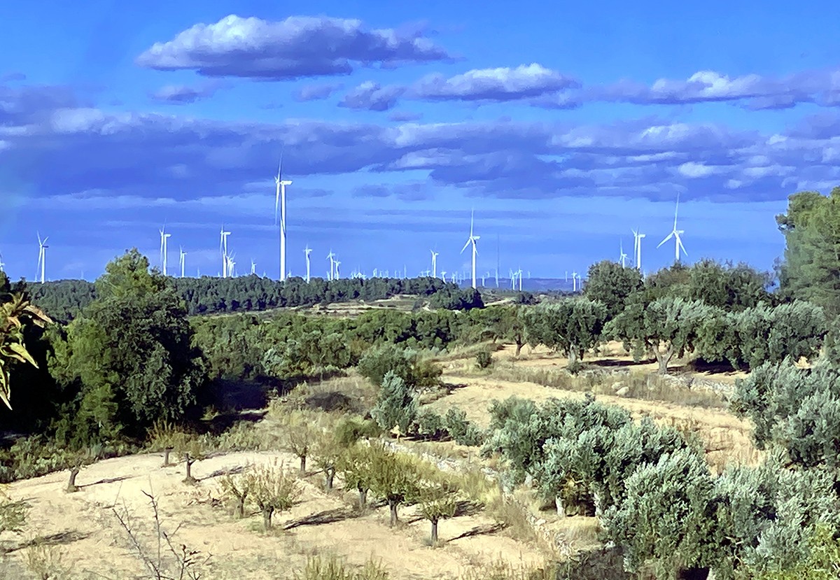 La plana alta de la Terra Alta coberta d'aerogeneradors darrere de camps d'oliveres i ametllers