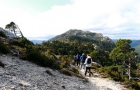 Vés a: El Parc Natural dels Ports inicia el procés per a l'obtenció de la Carta Europea de Turisme Sostenible