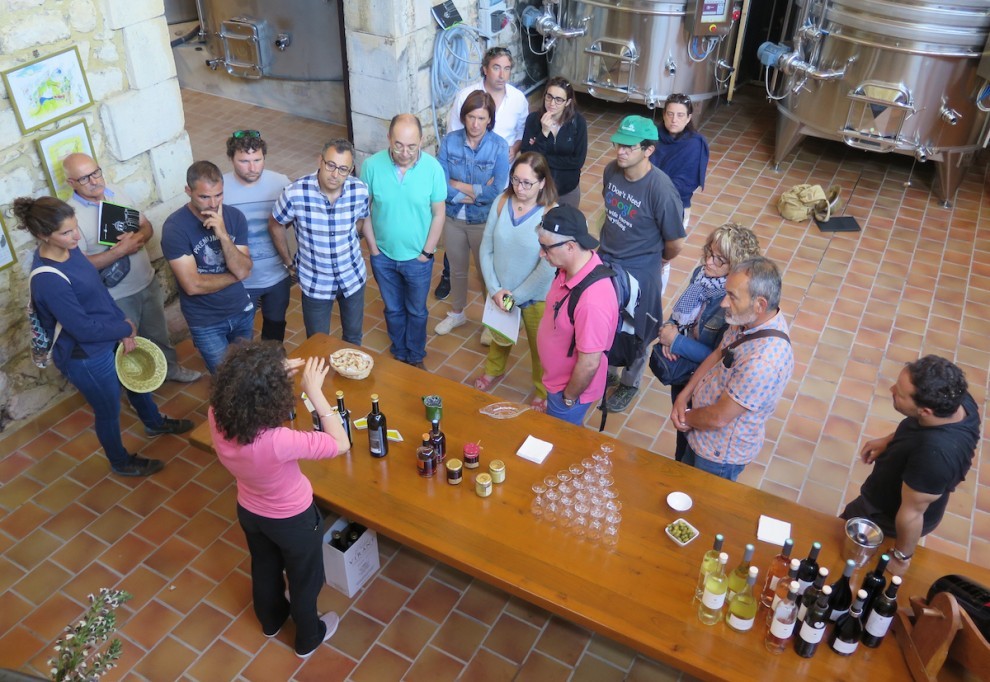 Els productors d'oli del Pallars Jussà en una sessió formativa 