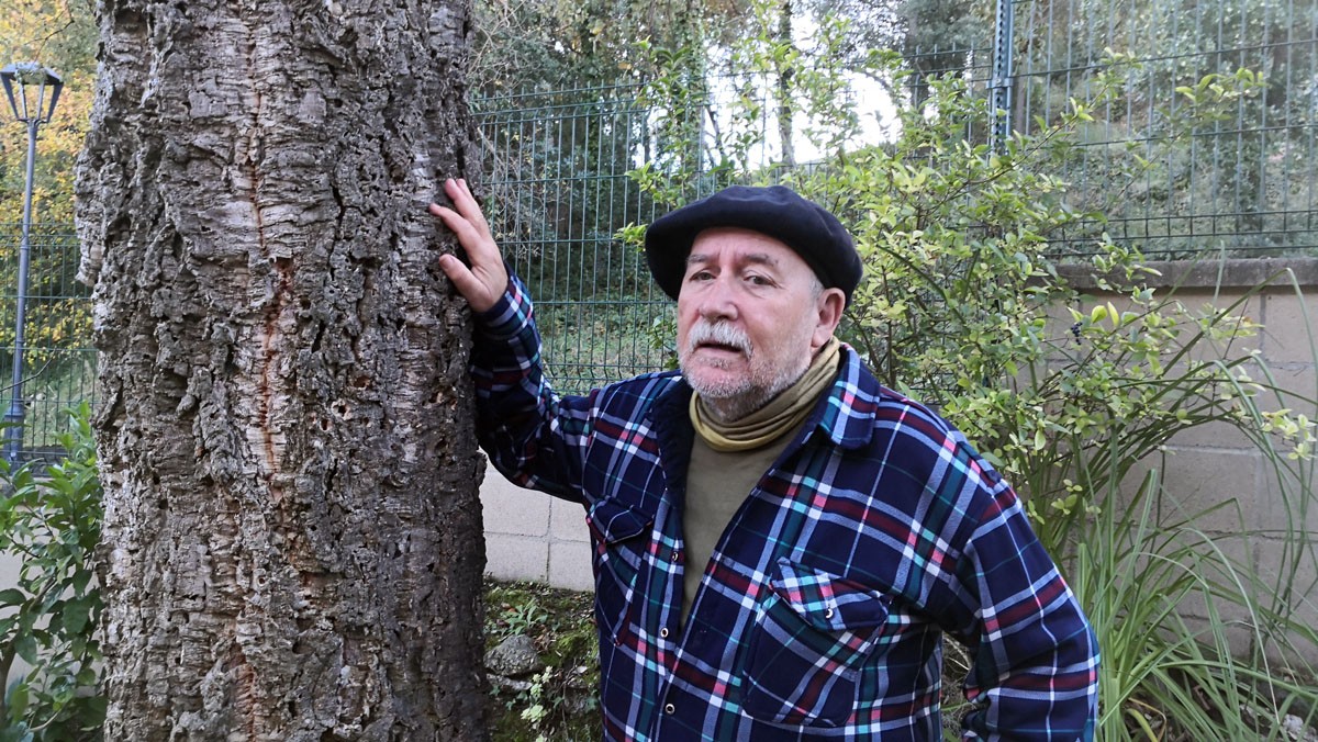 Martí Boada afirma que Catalunya és un país de boscos sense saber-ho