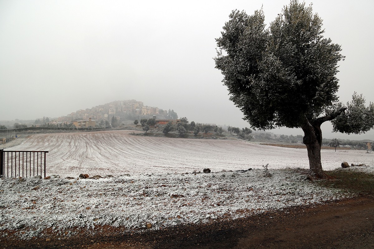 Un sembrat enfarinat per la neu a l'entrada d'Horta de Sant Joan.