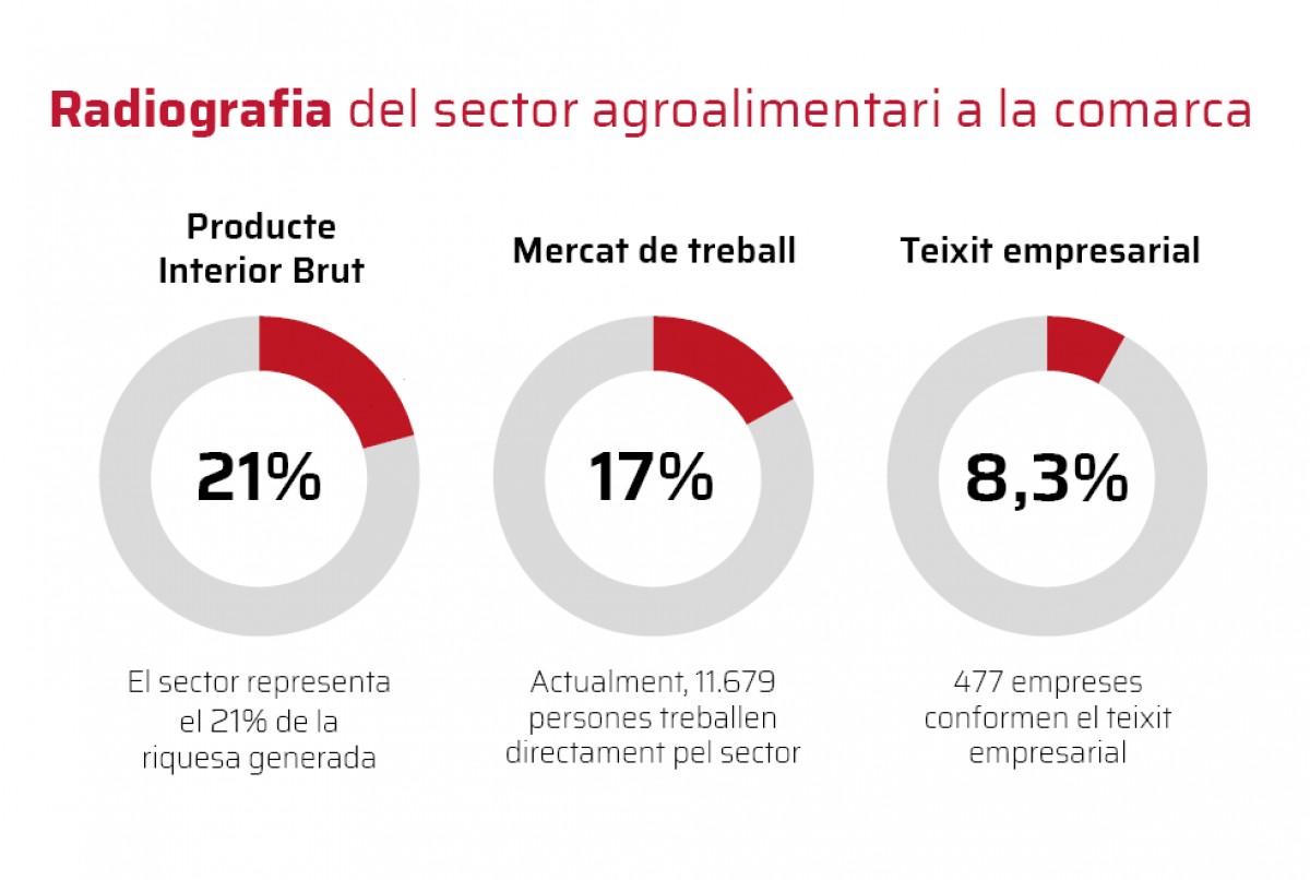 Infografia del sector agroalimentari a Osona