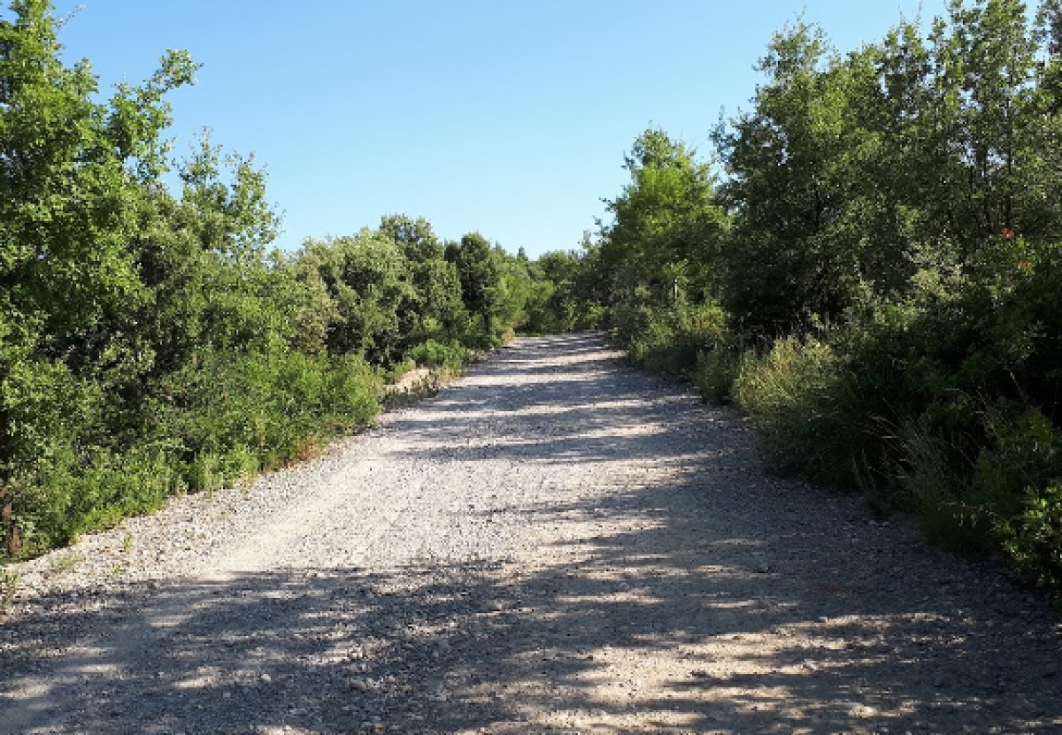 Fotografía del Camí dels Monjos, per on passen les dues rutes