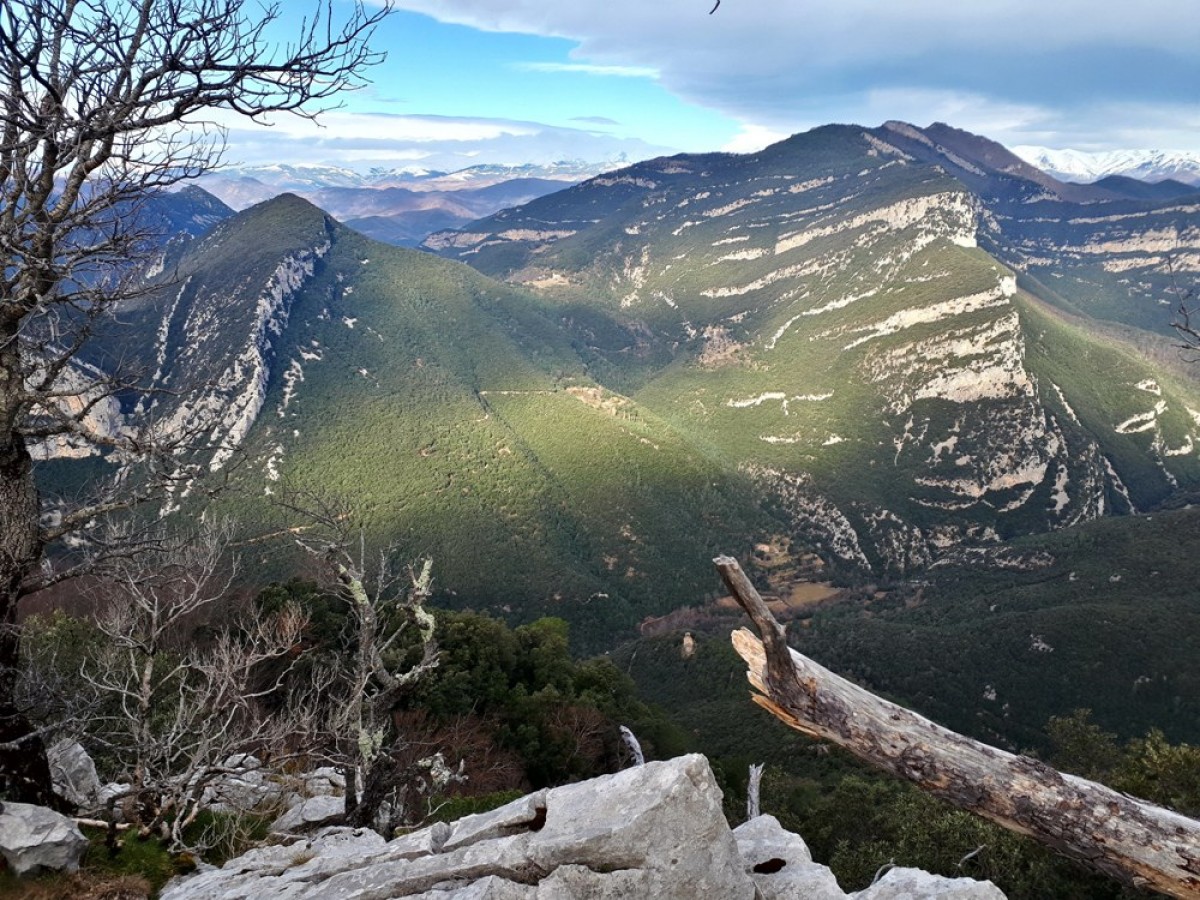 Paisatge natural de l'Alta Garrotxa.