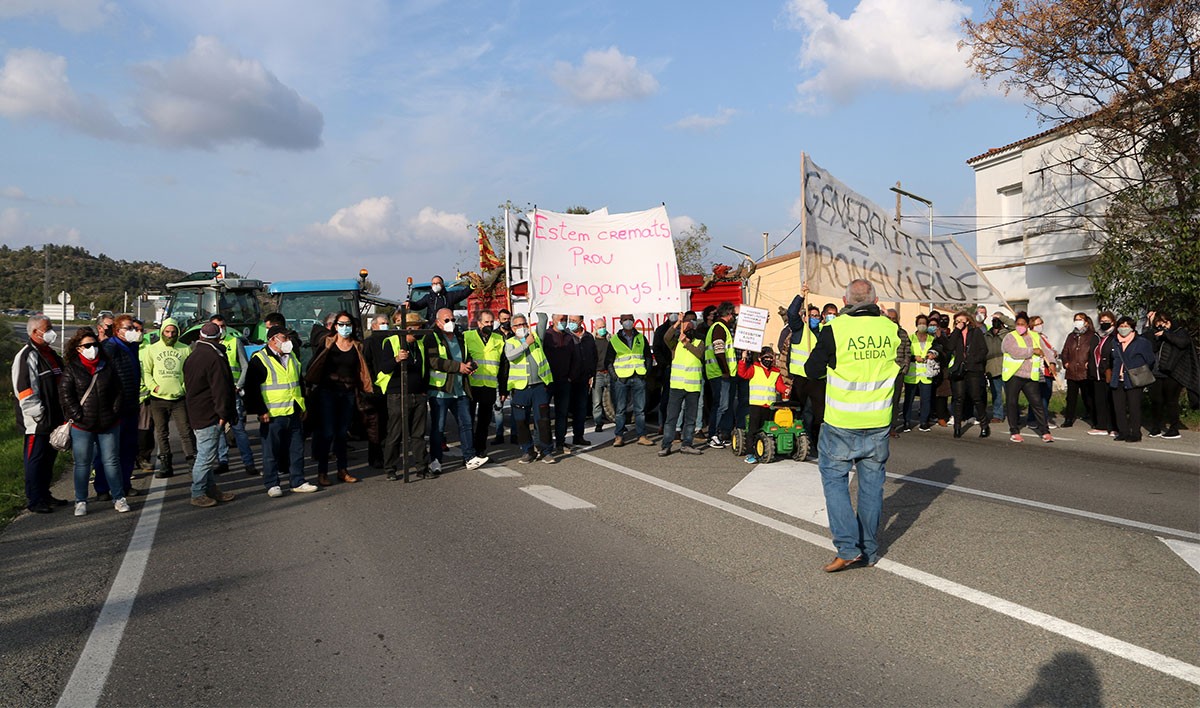Pagesos tallant la C-12, a l'altura del Flix, en la protest per exigir ajuts directes per compensar els danys causats pel temporal Filomena als camps d'oliveres.