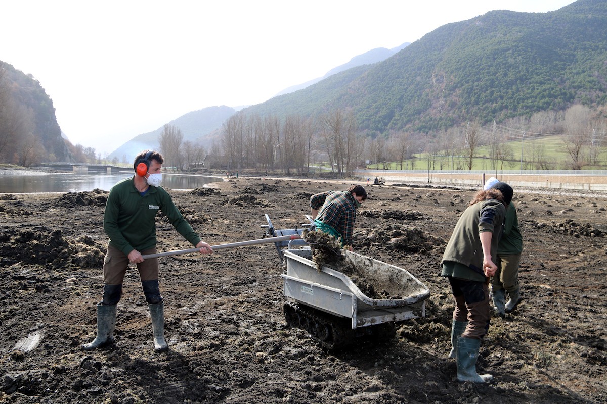 Operaris retirant l'elodea del pantà de la Torrassa