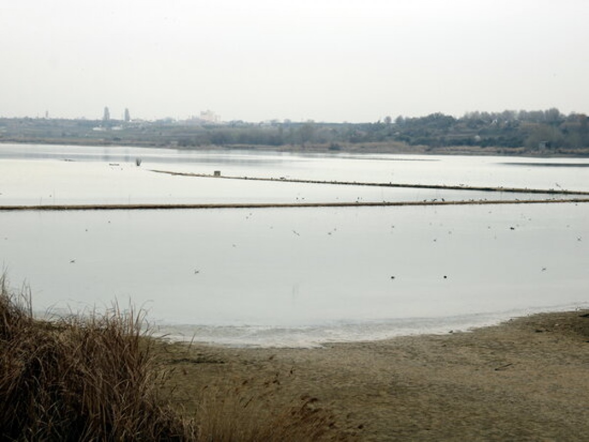L'estany d'Ivars i Vila-sana on es poden veure part dels sediments que han quedat emergits pel buidatge parcial