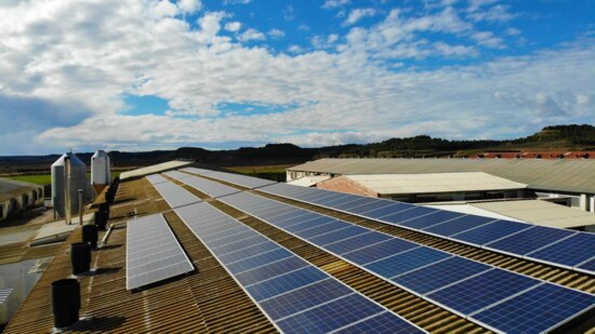 Pla general de plaques solars instal·lades a la teulada d'una granja, en una imatge d'arxiu