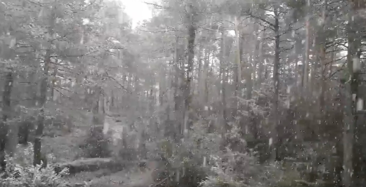 Captura del vídeo que enregistrava la nevada d'este divendres als Ports.