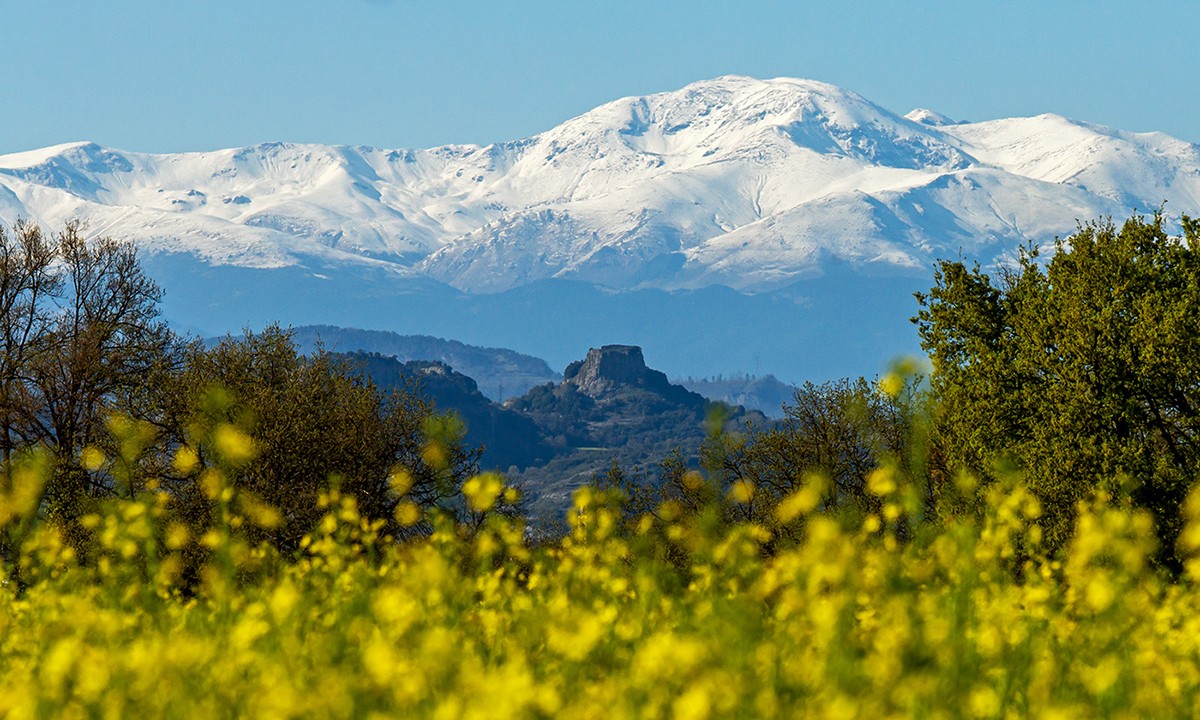 El Pirineu Oriental nevat, els camps de colza florits, el castell d'Orís, des de Gurb