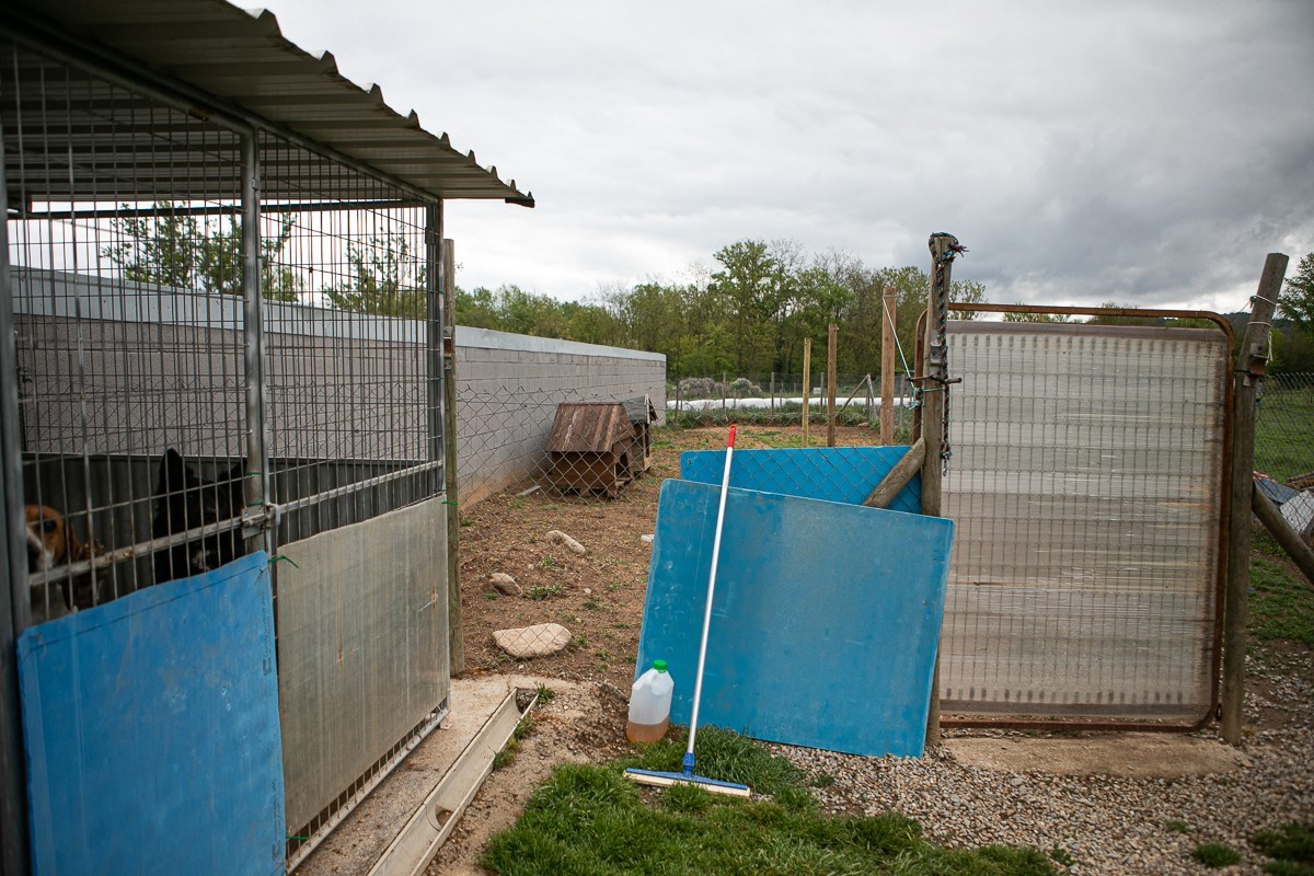 Zona exterior de les instal·lacions de la protectora d'animals a Olot.
