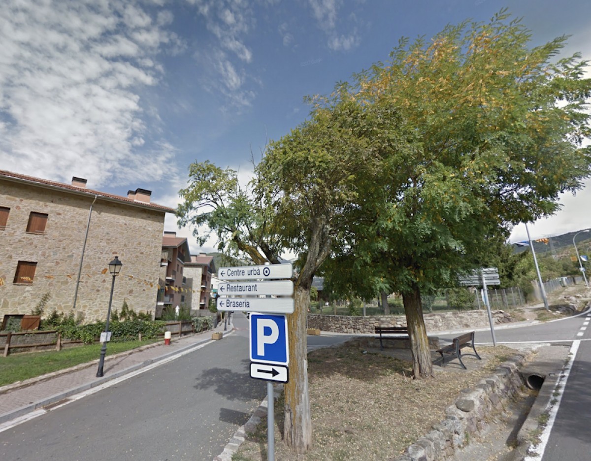 Imatge d’arxiu de les acàcies que s’han talat a la Pobleta de Bellveí