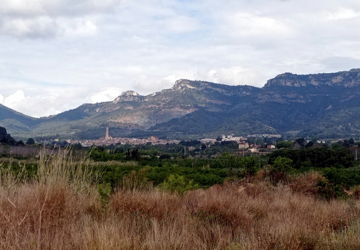 El municipi d'Alforja.