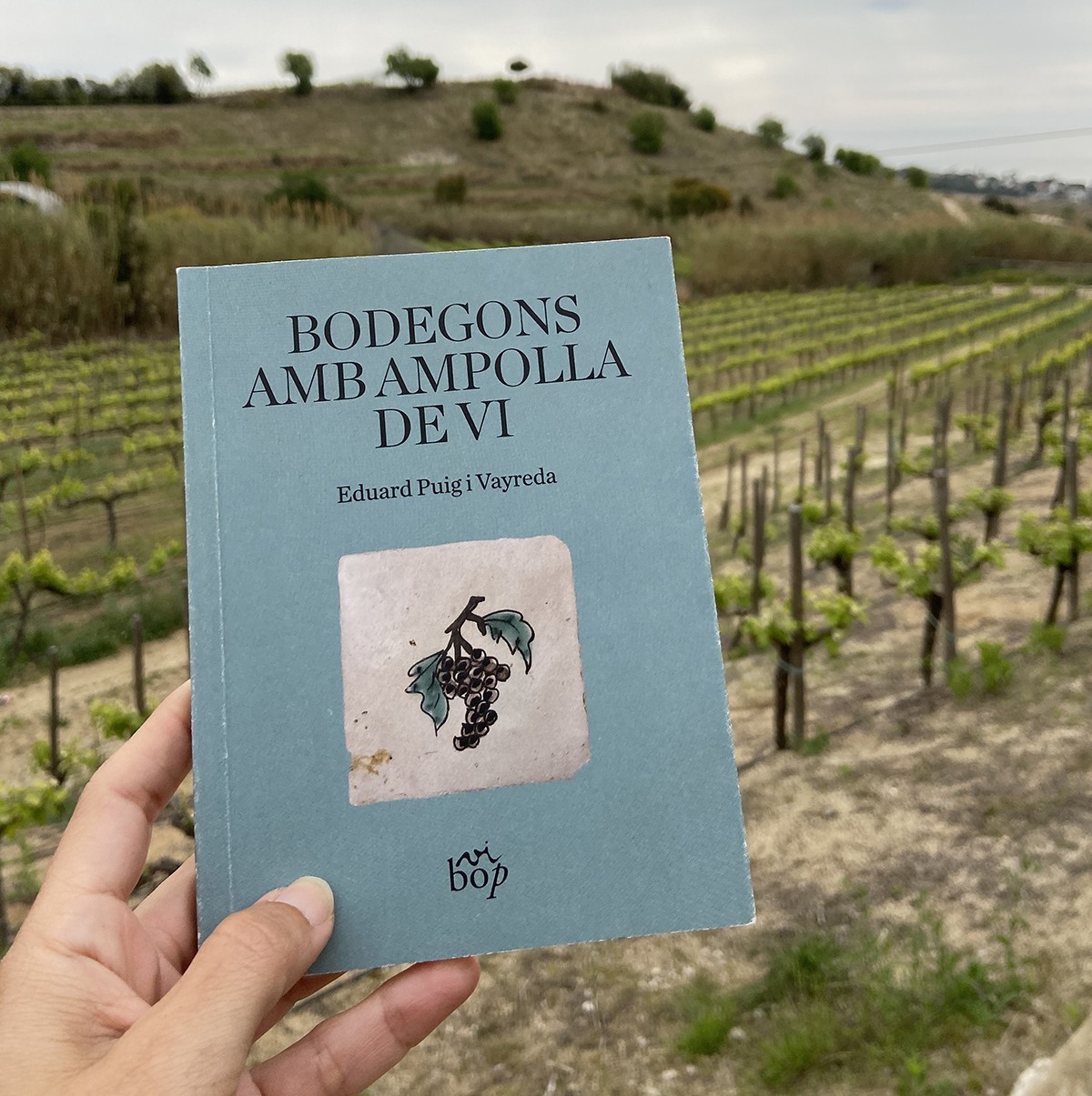 “Bodegons amb ampolla de vi”, de la col·lecció Envinats, conté tres conferències d'Eduard Puig i Vayreda