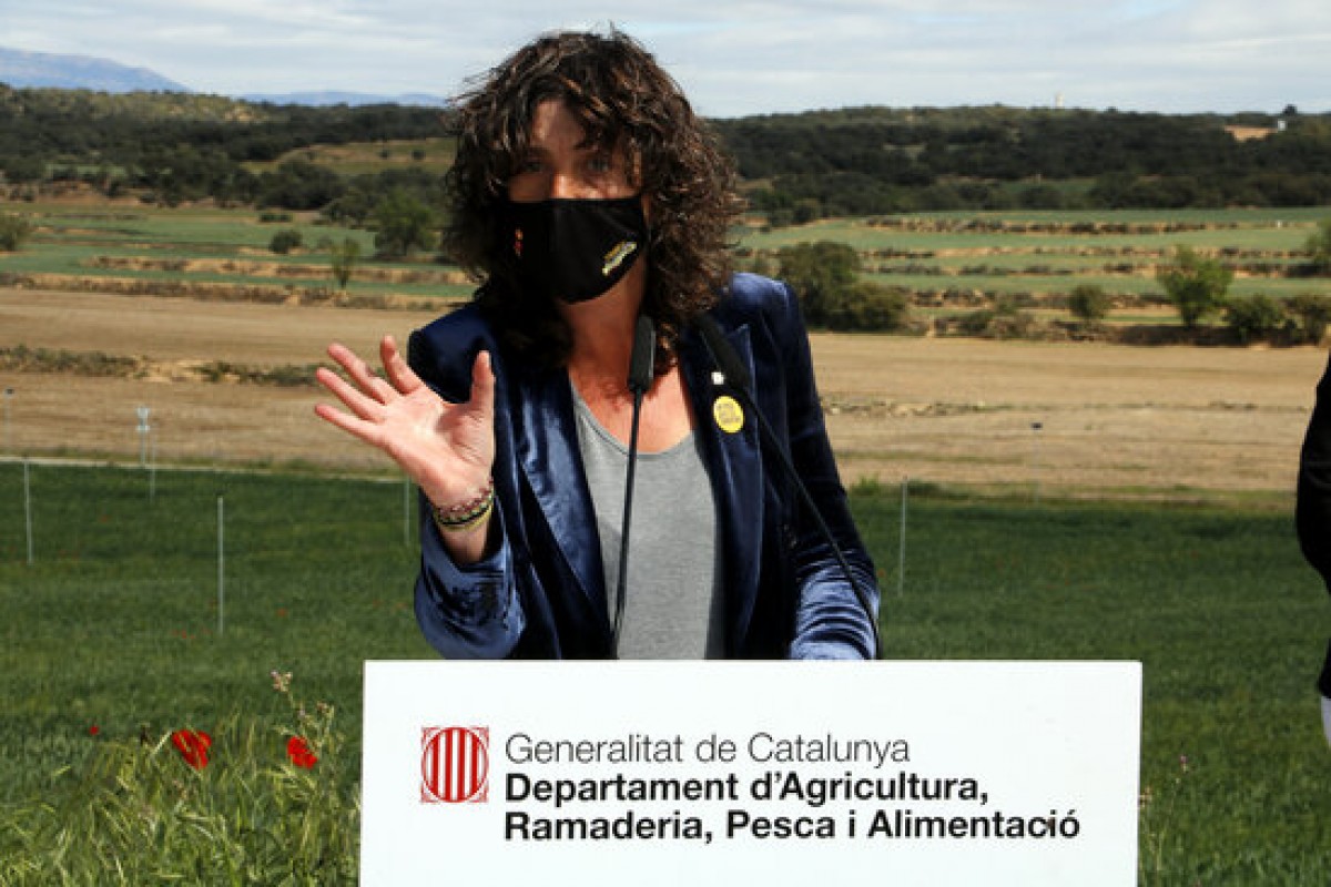 Teresa Jordà, Consellera d'Agricultura