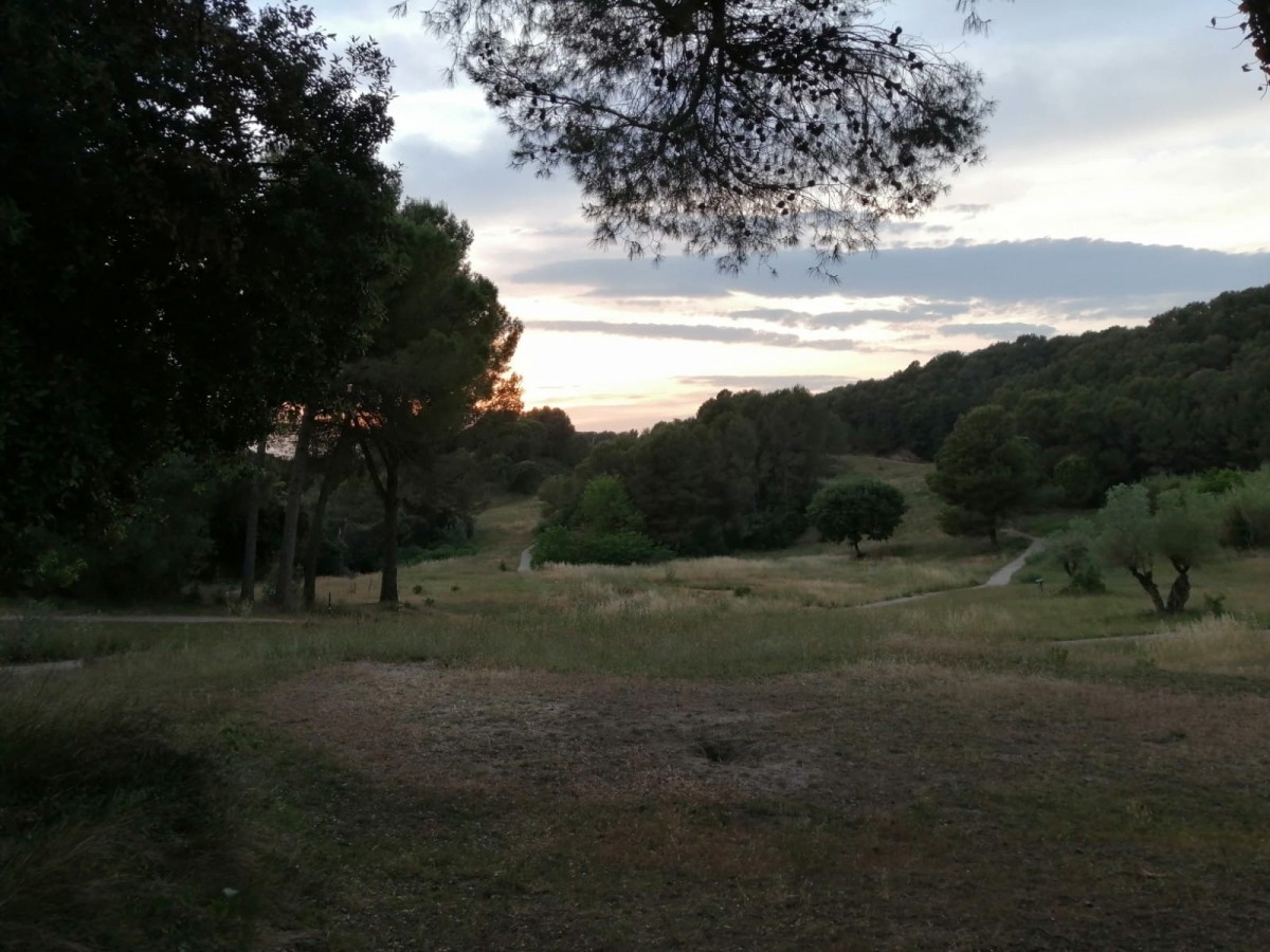 El camp de golf abandonat de Can Sant Joan de Sant Cugat, per dins