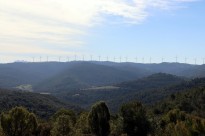 Vés a: La DO Terra Alta alça la veu contra la implantació de 3 nous parcs eòlics a la comarca 