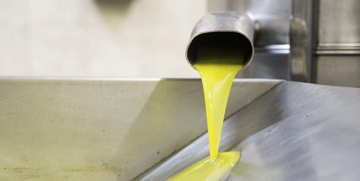 El molí utilitzarà un sistema consistent en l'extracció al buit de l'oli d'oliva