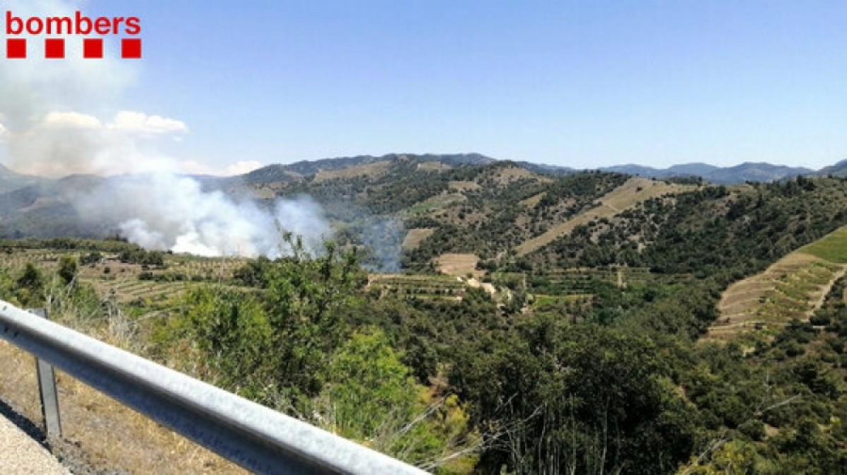 L'incendi de vegetació agrícola a Gratallops, el 12 juny del 2021
