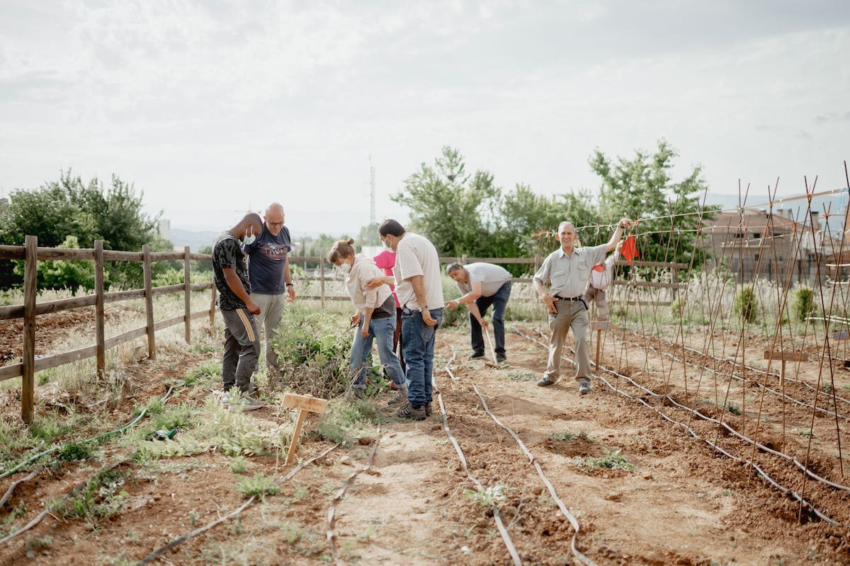 Participants del projecte 'Llavors d’Oportunitats' treballant a l’hort