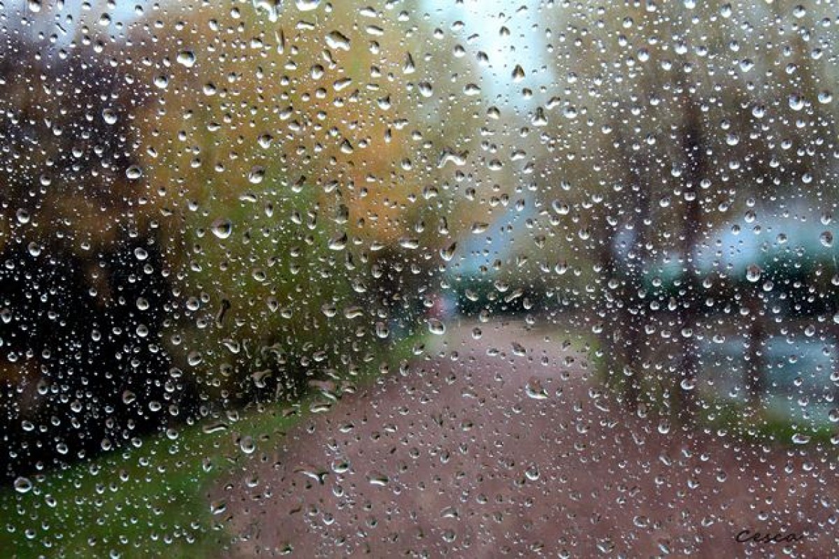 La pluja pot ser protagonista aquest dimecres.
