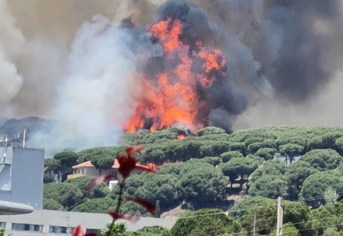 Un incendi forestal a Catalunya, dies enrere.