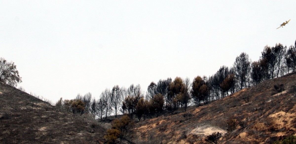 Imatge de la zona cremada