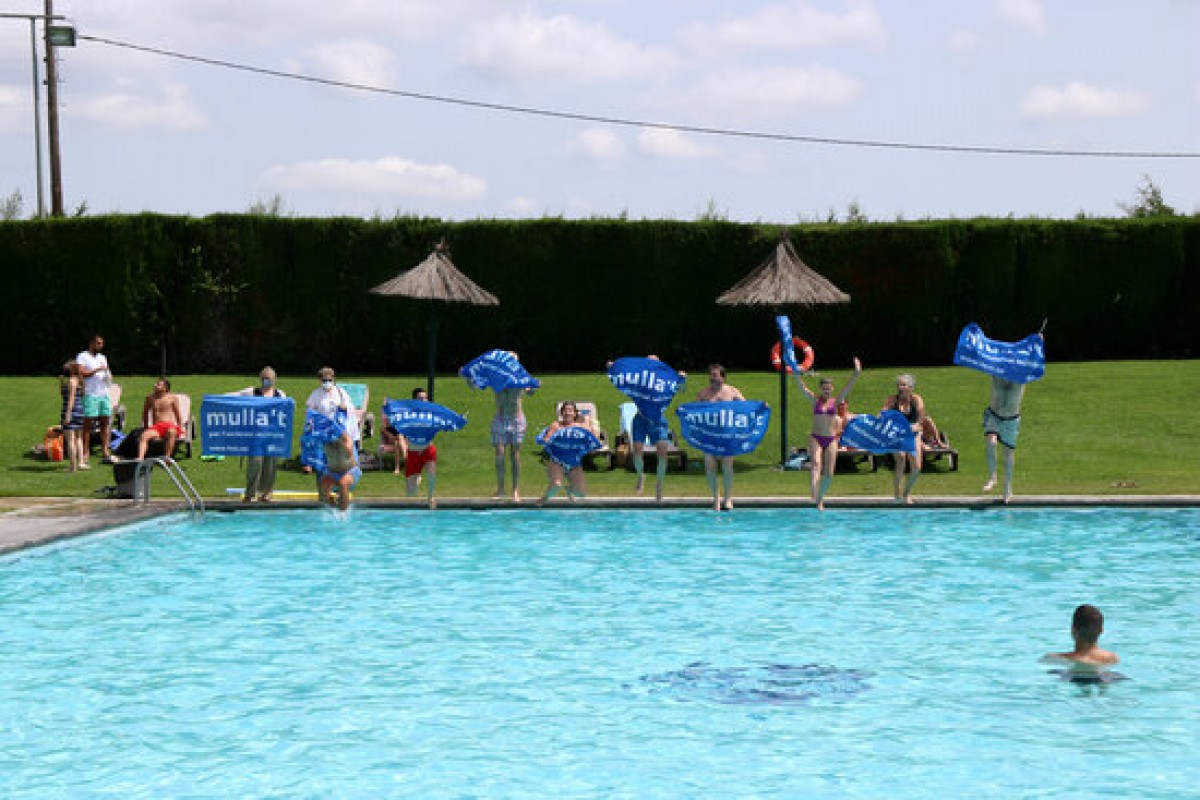 Les autoritats locals de Reus llençant-se a la piscina en la tradicional capbussada en la 28a edició del 'Mulla't per l'Esclerosi Múltiple'
