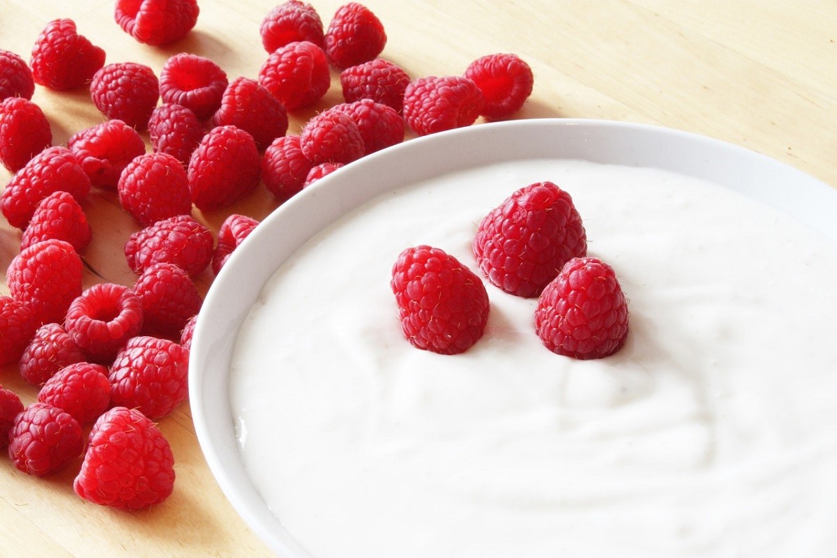 Els iogurts i altres productes amb crema perden propietats si es congelen.