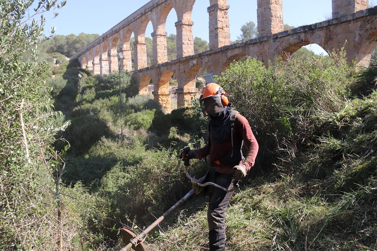Un dels operaris que talla massa forestal davant del Pont del Diable de Tarragona.