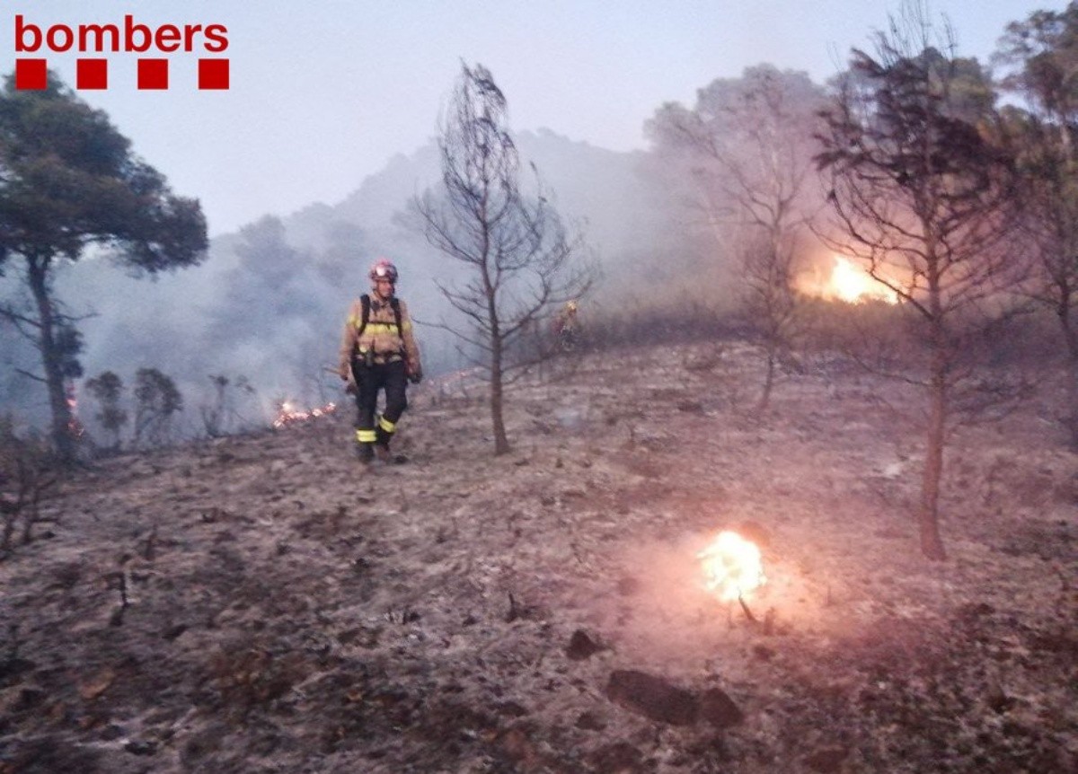 Un bomber enmig d'un paratge cremat durant un incendi en un barranc de Móra d'Ebre.