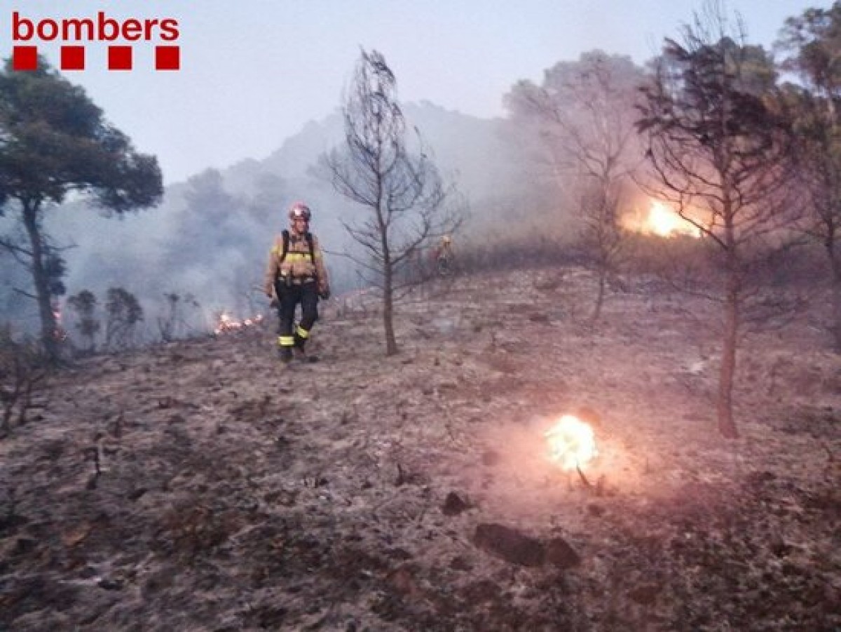 Un bomber enmig d'un paratge cremat durant un incendi en un barranc de Móra d'Ebre 