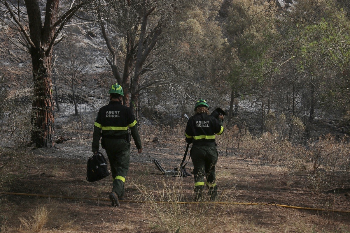 Dos agents rurals caminant en la zona de en l'incendi del Montgrí aquest dissabte
