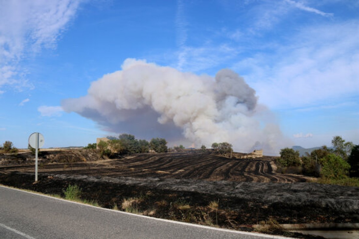 Un camp de conreu cremat al terme municipal de Santa Coloma de Queralt