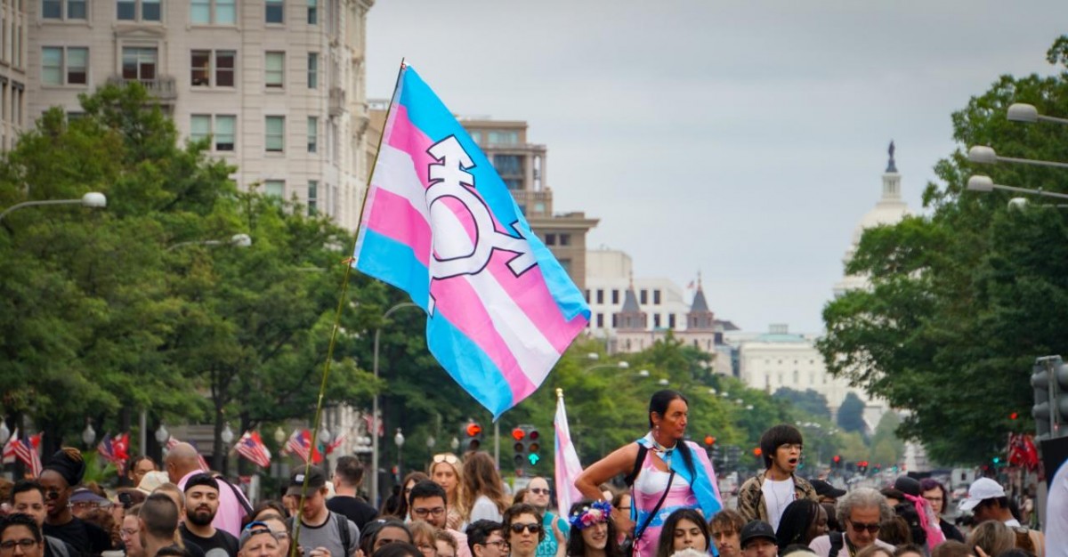 Imatge d'una bandera trans en una manifestació 