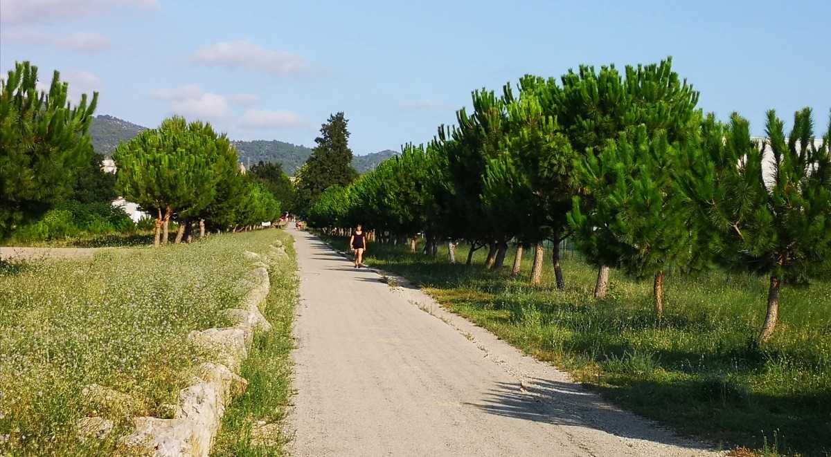 La Via Verda de la Val de Zafán, entre Tortosa i Roquetes.