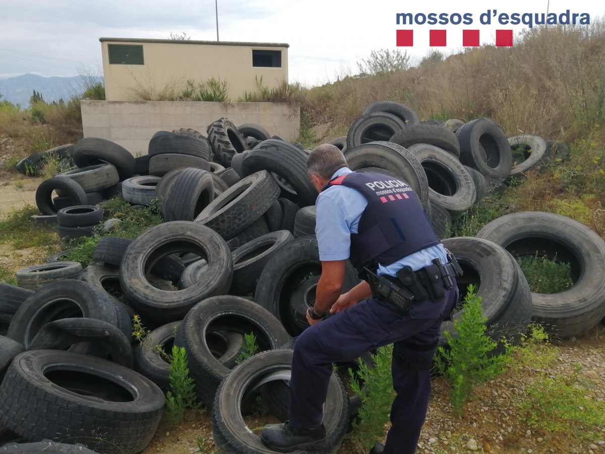 Els agents van localitzar nombrosos pneumàtics usats que havien estat llençats en uns terrenys ubicats a Campredó