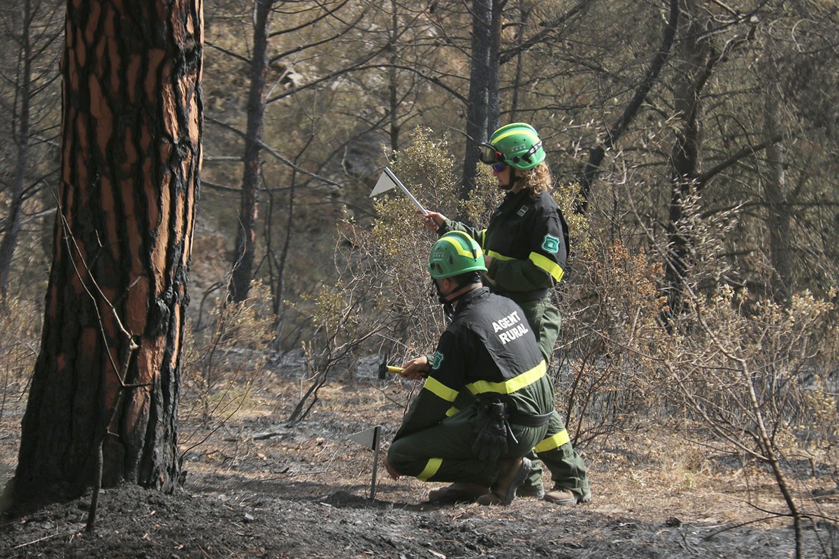 Els Agents Rurals treballant buscant la causa d'un incendi recent