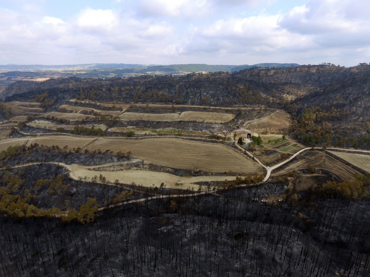 Vista panoràmica d'una zona afectada per l'incendi