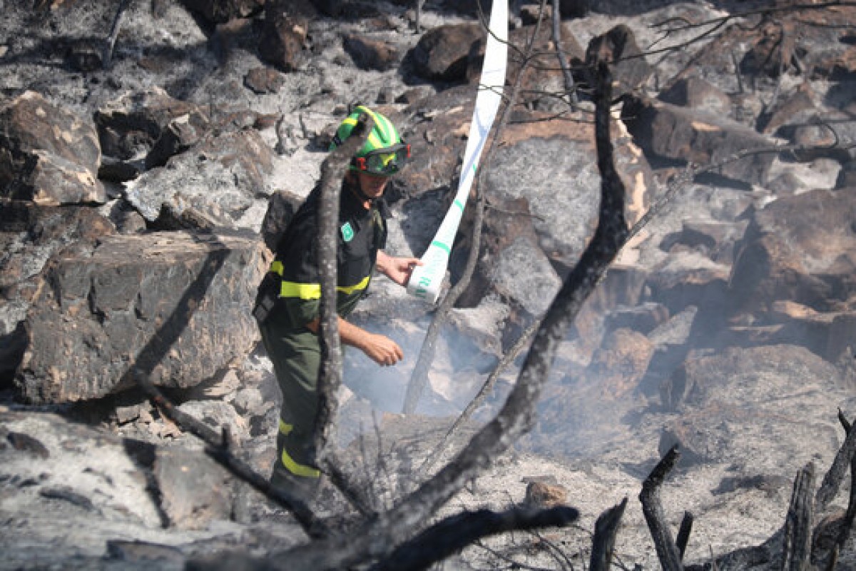 Pla picat d'un agent rural perimetrant una zona de l'incendi de la Pobla de Massaluca.