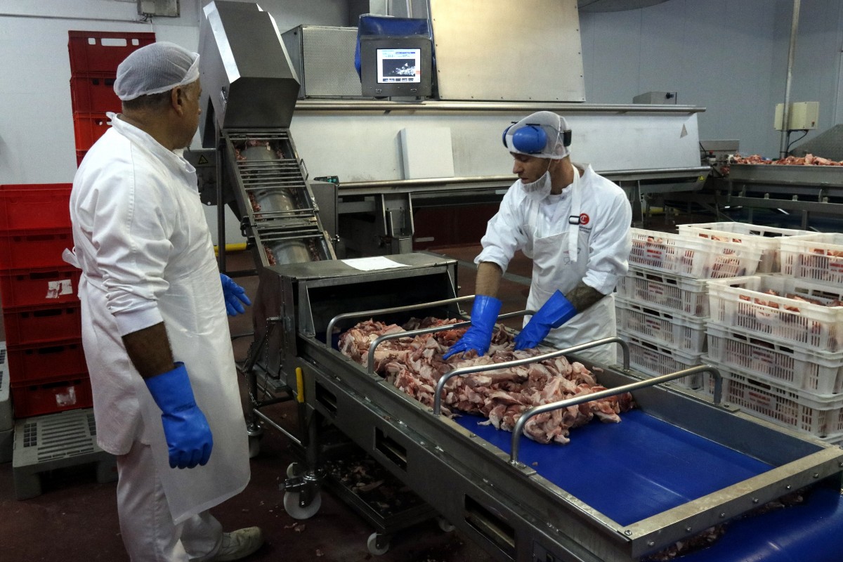 Dos treballadors processen carn en una empresa del sector.