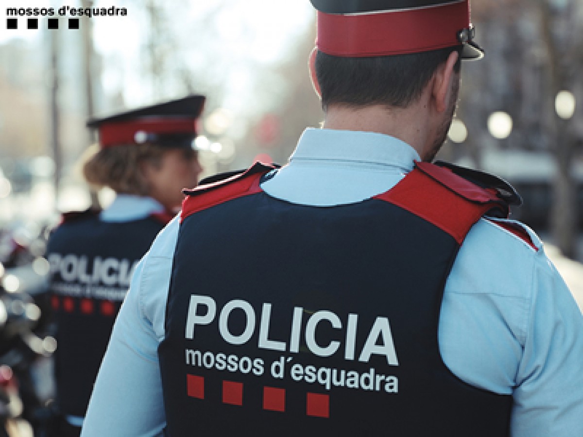 Els Mossos d'Esquadra han detingut a Arbúcies i Hostalric tres homes per presumptes furt sa diversos domicilis