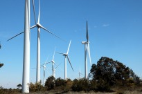 Vés a: El Govern obligarà els promotors de renovables a pactar amb el 85% dels propietaris dels terrenys