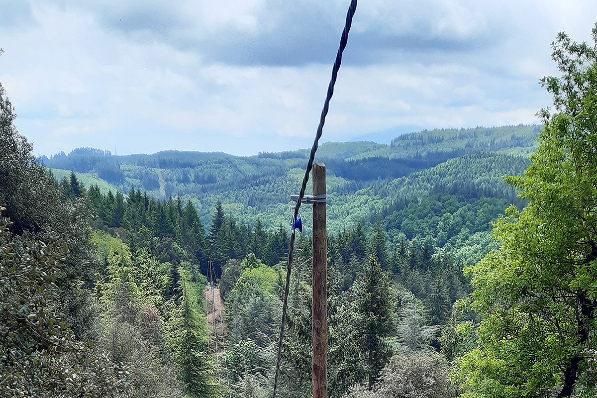 El cable trenat que Endesa ha implantat a les comarques de la Selva i Osona.