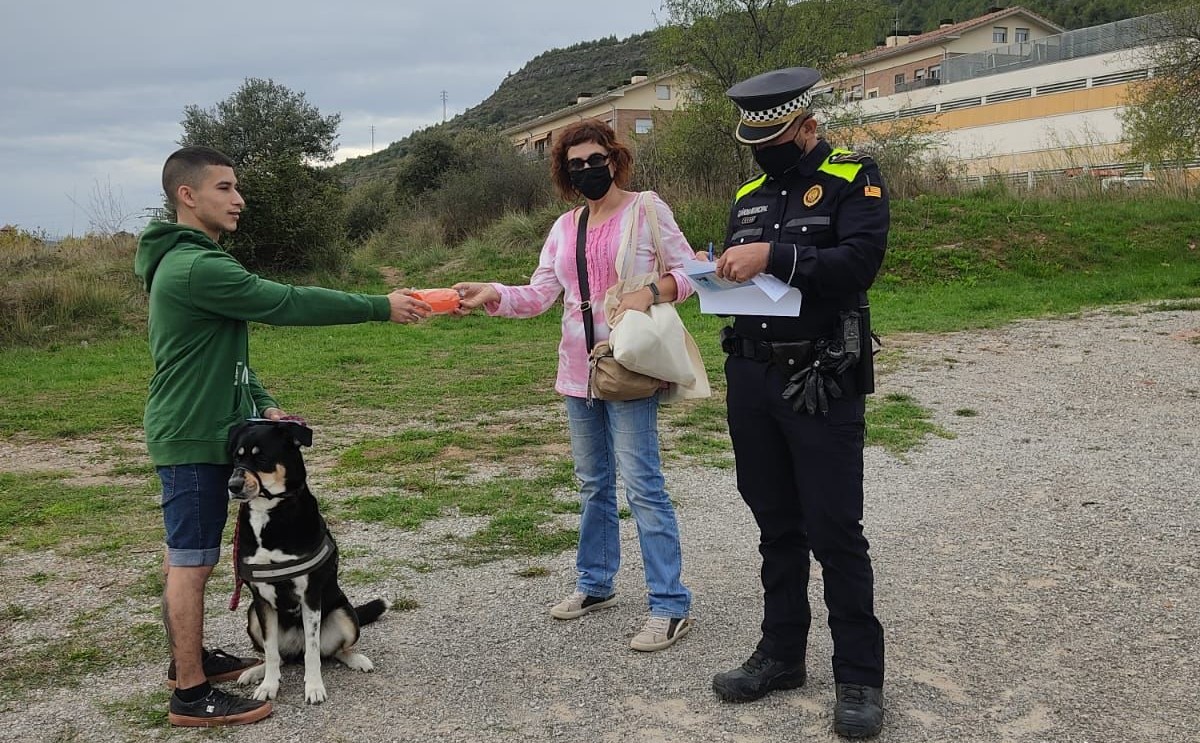 Un vigilant municipal comprova si un gos està correctament censat
