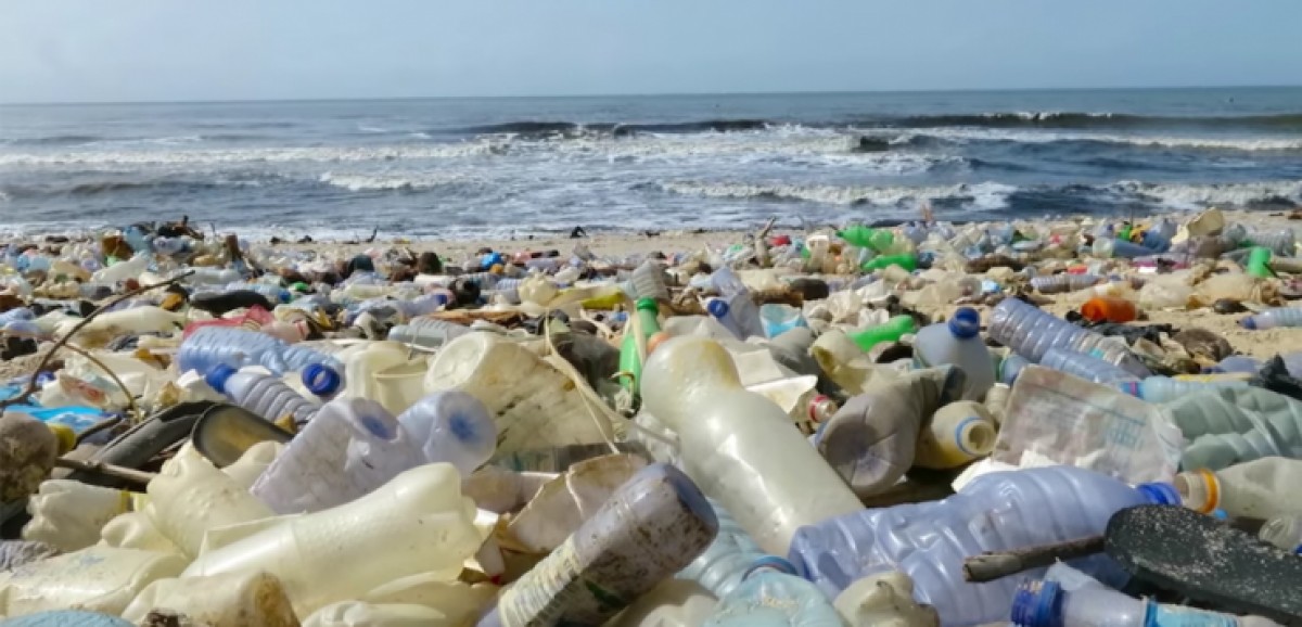 La contaminació per plàstics amenaça el medi marí.