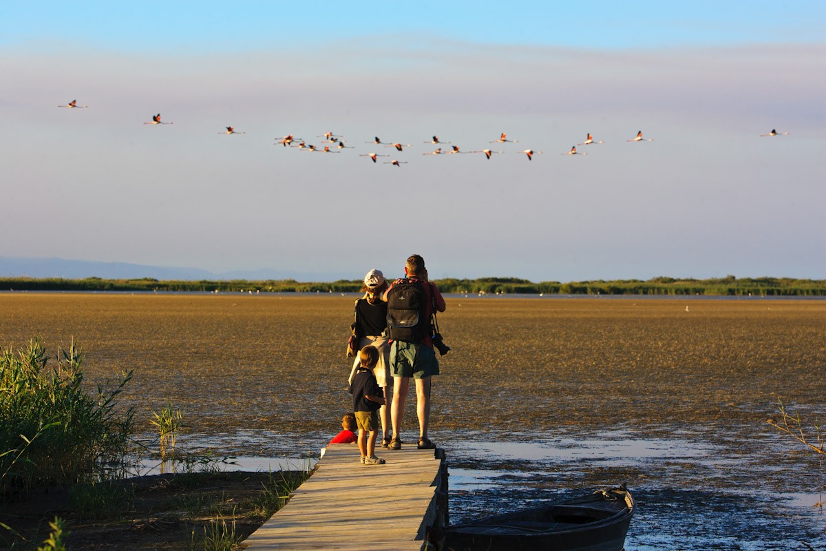 Observació d'aus al Parc Natural del Delta de l'Ebre 